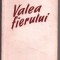 valea fierului de dragos vicol aceasta carte este un roman editat de editura espla in anul 1953