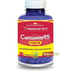 Curcumin95 Forte 120cps