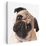 Tablou portret caine Mops (Pug) Tablou canvas pe panza CU RAMA 40x40 cm