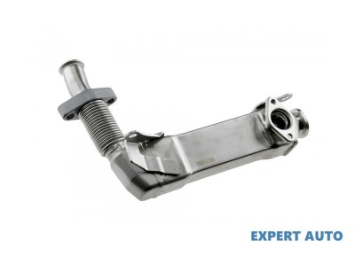 Radiator recirculare gaze BMW X5 (2007-&amp;gt;) [E70] #1 foto