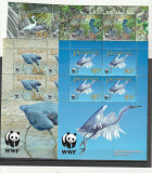 Fauna pasari din Pacific WWF,Penrhyn. !!, Nestampilat
