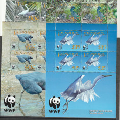 Fauna pasari din Pacific WWF,Penrhyn. !!