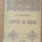 ION AGARBICEANU - CHIPURI DE CEARA - ED. CARTEA ROM&Acirc;NEASCĂ
