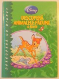 DESCOPERA ANIMALELE PADURII CU BAMBI , TEXT DE JEAN PIERRE BERNIER , MICHELE BRUNACCI , ILUSTRATII DE MARIO CORTES , 2011