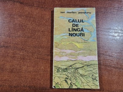 Calul de langa nouri de Ion Florian Panduru foto