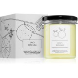 Hagi Spicy Orange lum&acirc;nare parfumată 230 g