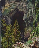 CPI B14102 CARTE POSTALA - PORTALUL DE LA CETATILE PONORULUI, Necirculata, Fotografie