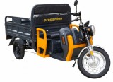 Triciclu Electric Cargo Progarden TRIVO 3000, 25km/h, 72V, 58Ah, incarcator inclus ProAdvanced PowerfulTools