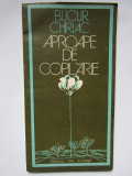 BUCUR CHIRIAC - APROAPE DE COPILARIE