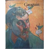 AUTOPORTRETELE LUI GAUGUIN-KUNO MITTELSTADT-217435