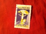 Vigneta Romania 1924 Societatea Principele Mircea - Danie 1 leu pt copii ,stampilat