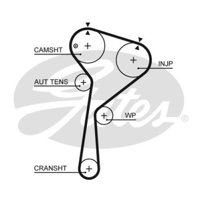 Curea distributie Gates 5675XS foto