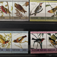 PC448 - Nevis 1985 Fauna/ Pasari Audubon 1, serie MNH, 8v