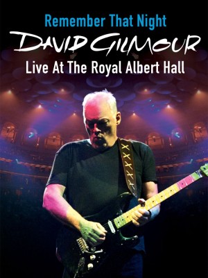 David Gilmour Remember That Nights (2bluray) foto