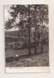 RF206 - Carte Postala - Vatra Dornei, circulata 1964