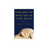 The Art of Racing in the Rain