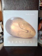 Radu Varia - Brancusi foto