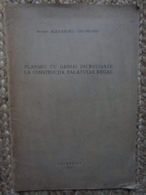 Planseu cu grinzi incrucisate la constructia Palatului Regal GHEORGHIU AUTOGRAF foto