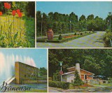 CPIB 16046 CARTE POSTALA - BUCURESTI. BANEASA, MOZAIC, Necirculata, Fotografie
