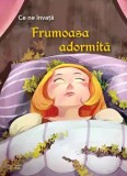 Frumoasa adormita. Seria Ce ne invata/***