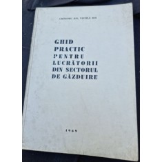Ion Croitoru, Ion Vintila - Ghid practic pentru lucratorii din sectorul de gazduire