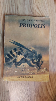 Propolis Din tainele stupului un pretios produs al apiculturii -Elena Palos foto