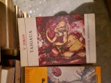 Taigaua vintage