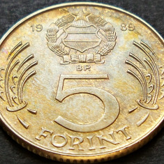 Moneda 5 FORINTI - RP UNGARIA, anul 1989 *cod 2196 A - KOSSUTH