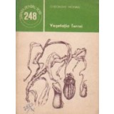 Vegetatia Terrei
