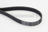 CONTINENTAL CTAM 6PK1870 Curea transmisie cu caneluri