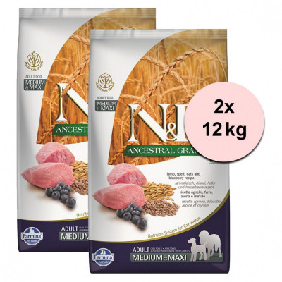 Farmina N&amp;amp;amp;D dog LG ADULT MEDIUM &amp;amp;amp; MAXI Lamb &amp;amp;amp; Blueberry 2 x 12 kg foto