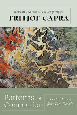 Patterns of Connection: Essential Essays from Five Decades foto