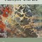 Patterns of Connection: Essential Essays from Five Decades