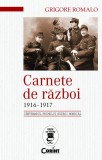 Carnete de război 1916-1917