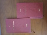 Pachet 2 Volume Portretul Unei Doamne-Henry James