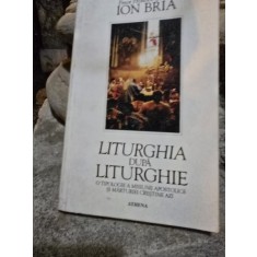 LITURGHIA DUPA LITURGHIE - ION BRIA