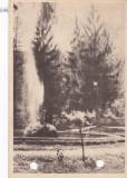 AMS - ILUSTRATA 1348, CALIMANESTI - VEDERE DIN PARC,ANUL 1956, cu perforari