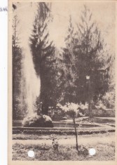 AMS - ILUSTRATA 1348, CALIMANESTI - VEDERE DIN PARC,ANUL 1956, cu perforari