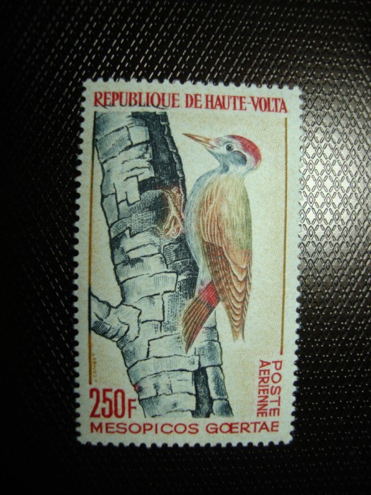 VOLYA SUPERIOARA 1964 EMISIUNE COMPLETA PASARI P.A. MNH