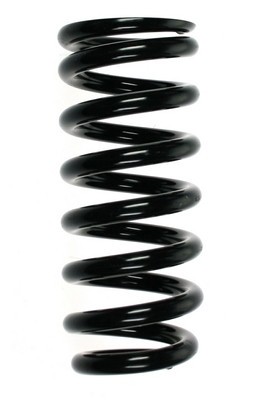 SPIDAN 55710 Arc spiral foto