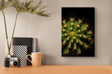 Tablou Canvas, "Cactușul &icirc;nflorit sub stele aurii", Cactus, Verde, Spini, Lumini, Contrast, &Icirc;ntunecat, Forme, Simetrie, Natură, Detaliu, 26 x 39 cm, C