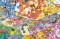 Puzzle pokemon 5000 - 2