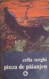 PANZA DE PAIANJEN-CELLA SERGHI-364227