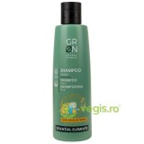 Sampon pentru Stralucire cu Canepa si Galbenele Essential Elements Bio 250ml
