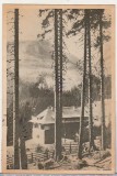 bnk cp Bucegi - Cocora si nCasa Pestera - circulata 1953