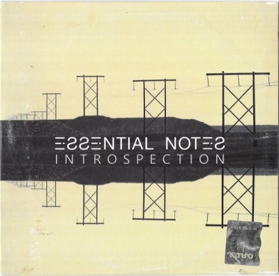 Essential Notes - Introspection, CD foto