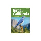 Birds of California Field Guide