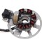 Stator aprindere cu cititor 2T, 7 bobine, 6 fire Cod Produs: MX_NEW ZLK2005
