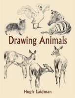 Drawing Animals foto