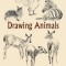 Drawing Animals